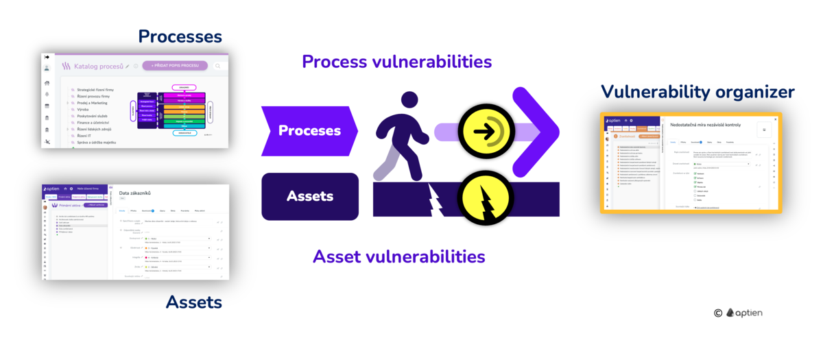 vulnerability organizer for risk assessment