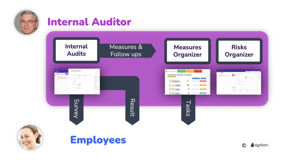 what does internal auditor do