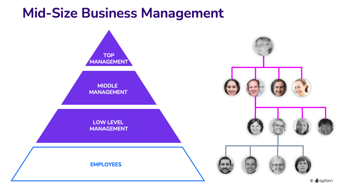 mid-size business management structure