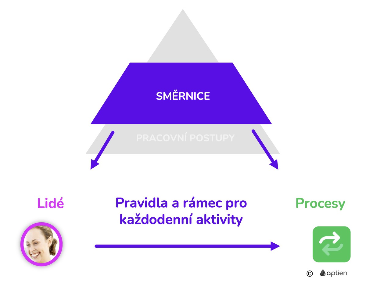 účel směrnic a pracovních postupů