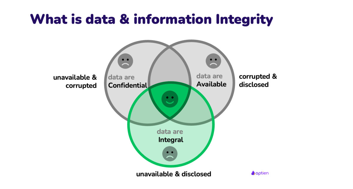 What is data and information integrity