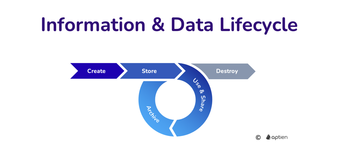 what is information lifecycle