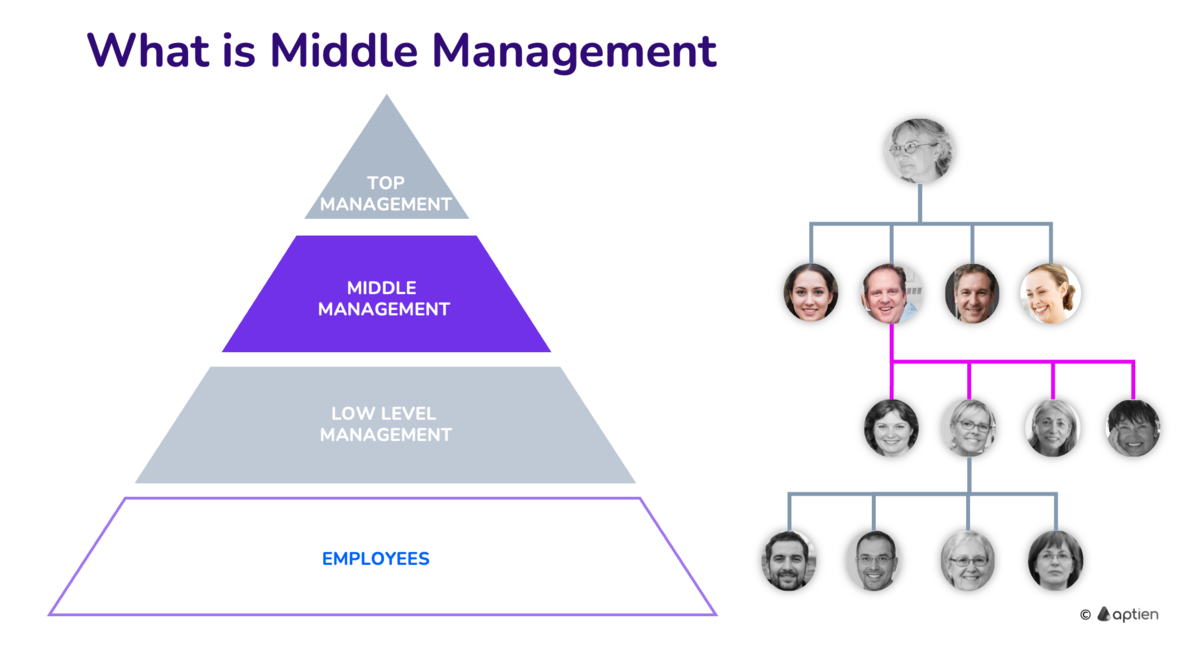 what is middle management