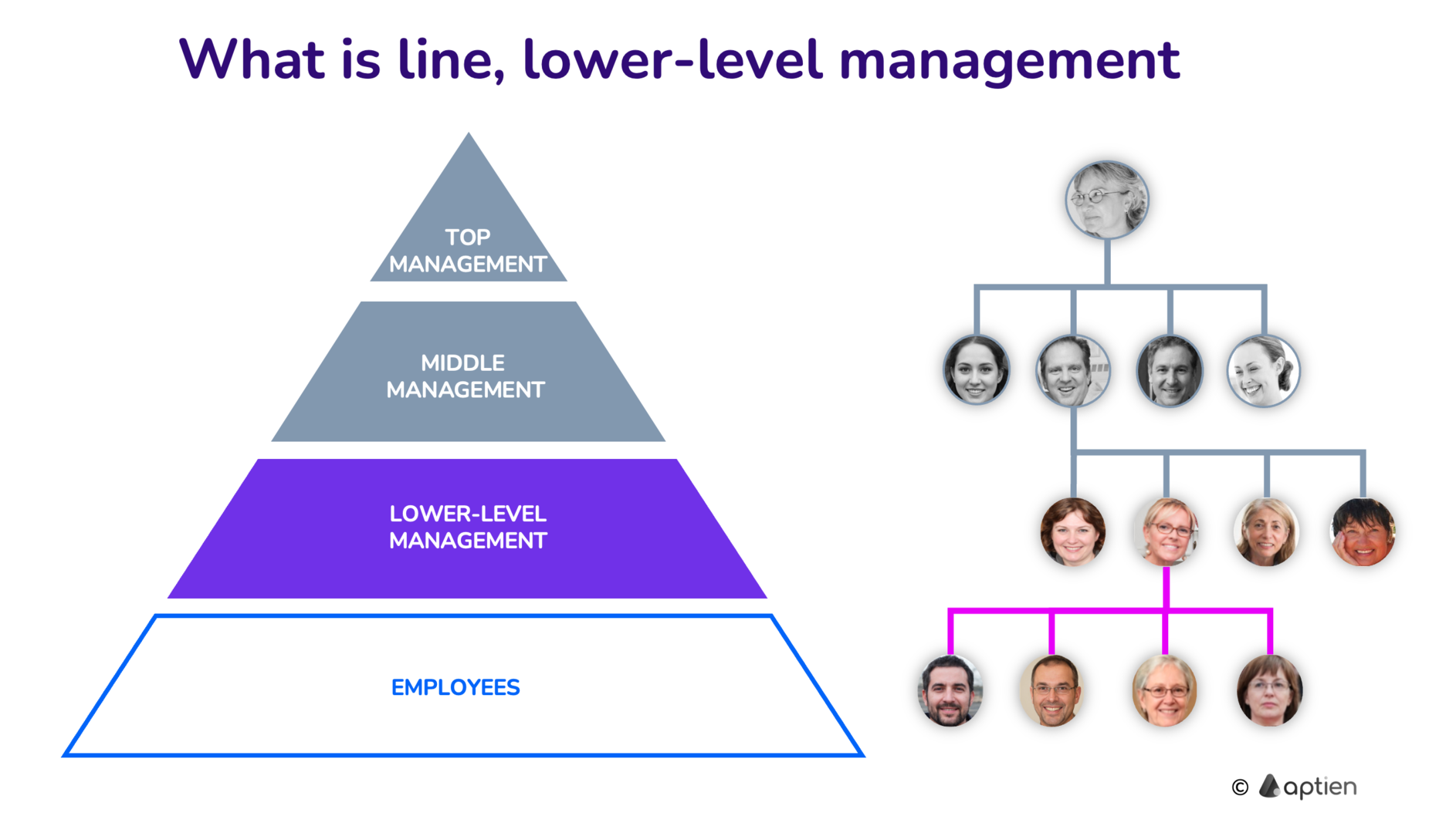 Who Is Line Manager HR Glossary Aptien